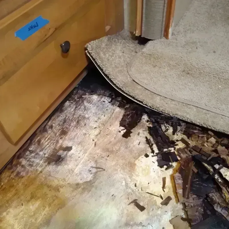 Best Wood Floor Water Damage Service in Judson, SC